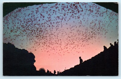 POSTCARD Bat Flight from Natural Entrance Carlsbad Caverns New Mexico Park 