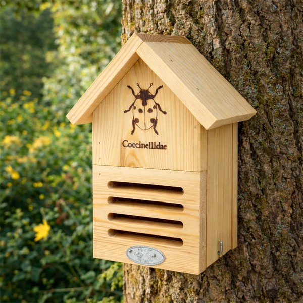 Casa Ladybird Pequeña Madera Insecto Madera Pino Insecto Hotel Ladybug Jardín Nido Caja