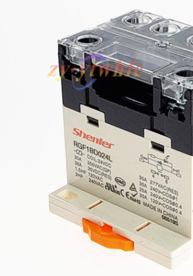 NEW SHENLER RGF1BD024L High-power Relay #G