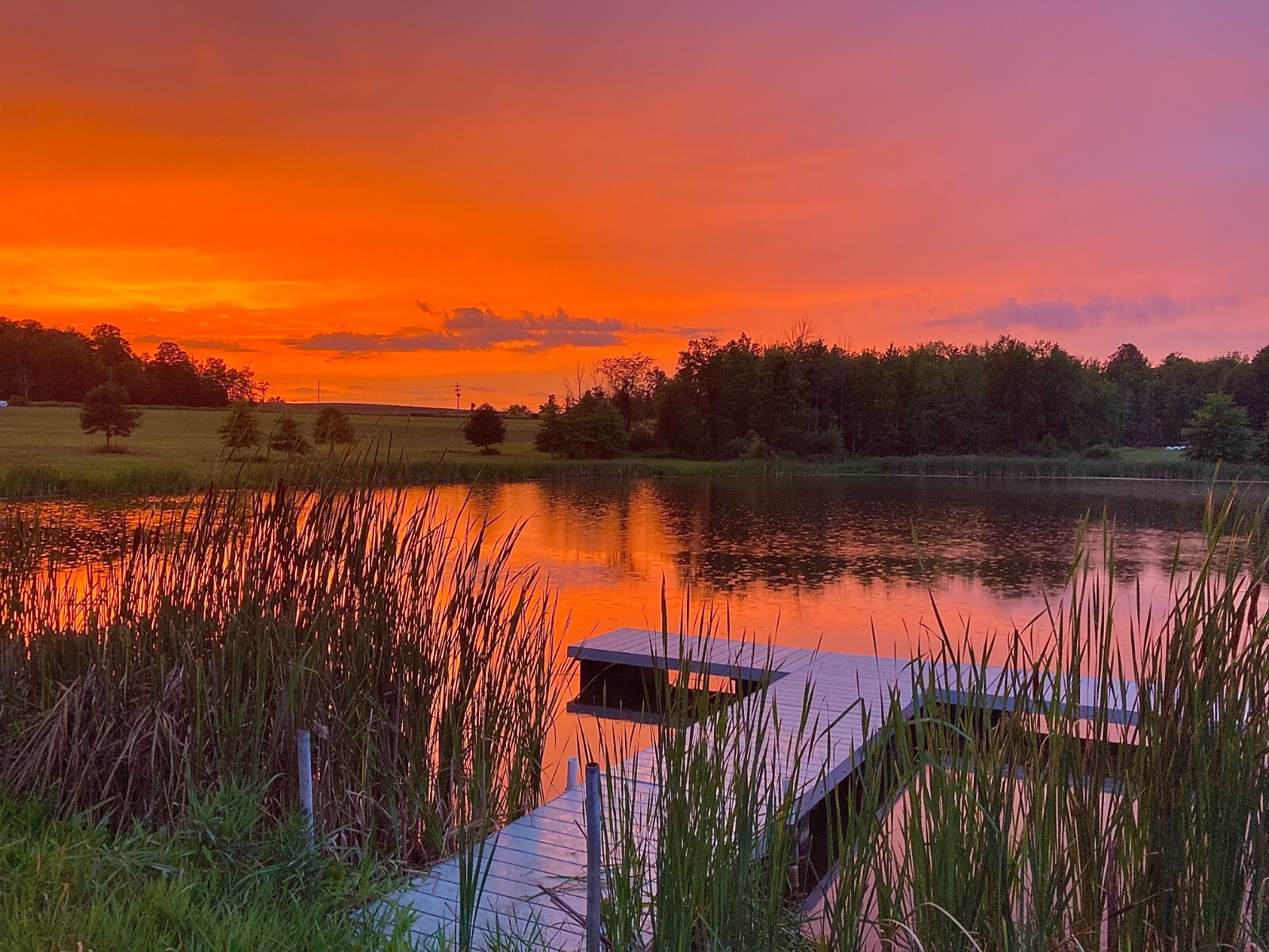 24ft Floating Jack Dock with Premium Decking FREE Shipping eBay