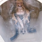 Bild 3 von 9