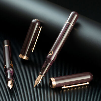 Nahvalur Nautilus Fountain Pen in Stylophora Berry - Medium Point - NEW in Box