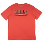 Nba Chicago Bulls Men's Short Sleeve Vintage Logo T-Shirt in Red, Large