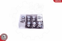 Esen SKV 49SKV545 Reparatursatz, Saugrohrmodul FüR BMW