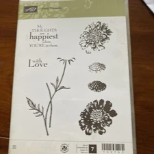 Stampin' Up Field of Flowers Stamp Set & Flowers Border Punch