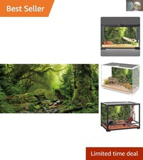 Foggy Rainforest Terrarium Background 48x18" for Stunning Aquatic Habitats