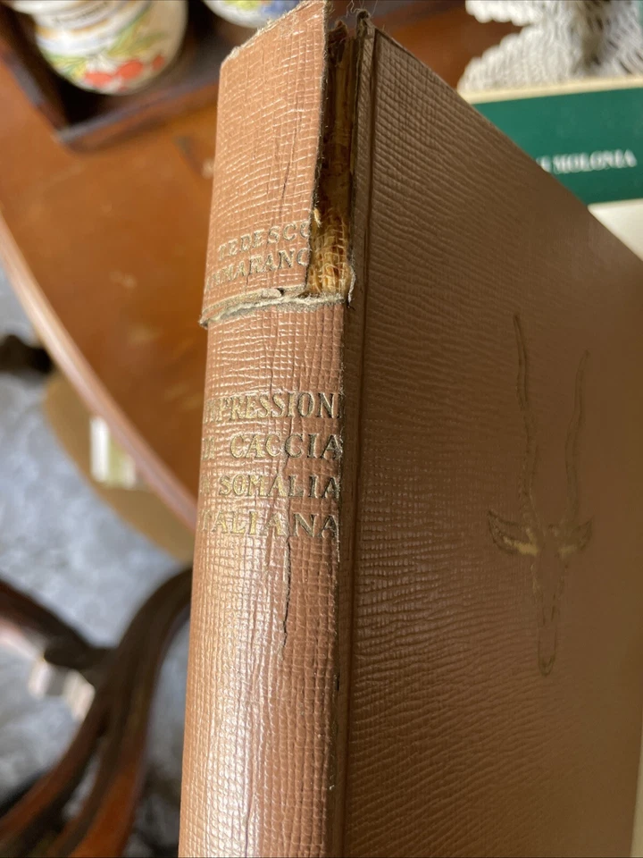 Vittorio Tedesco Zammarano - Impressioni di caccia in Somalia italiana - 1929 r - Immagine 4 di 4