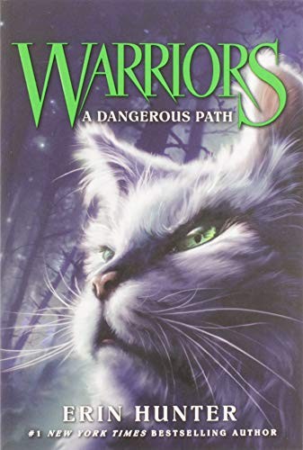Warriors #5: A Dangerous Path,Erin Hunter, Owen Richardson, Dave
