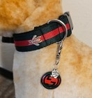 Elegant dog collar, collar for dog, luxury collar for dog with removable tag LRG