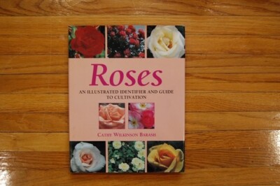 ROSES/CATHY WILKINSON BARASH/How to grow/Gardening/Cultivate/Identify