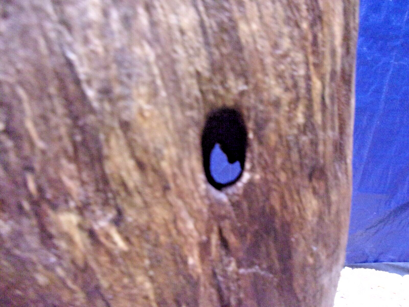 Picture 6 of 7