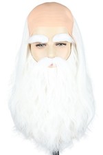 Mens Wig White Wizard Costume Wig Set with Bald Cap and Long Curly Beard Wig ...