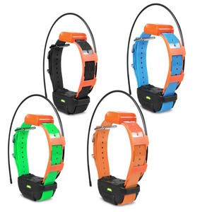 pathfinder dog collar