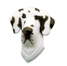 Placca Figurativa Testa Di Alano Arlecchino Non Tagliato