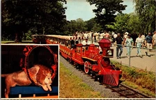 Zooline Railroad Forest Park St Louis Missouri Vintage Postcard 7480