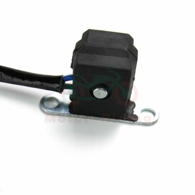 Yamaha Raptor 350 Stator Stator & Ignition Coil Kit For Yamaha Raptor 350 YFM350 (2004-2013) - Caltric Replacement Coil Springs For Ford F-350 - Foto 8