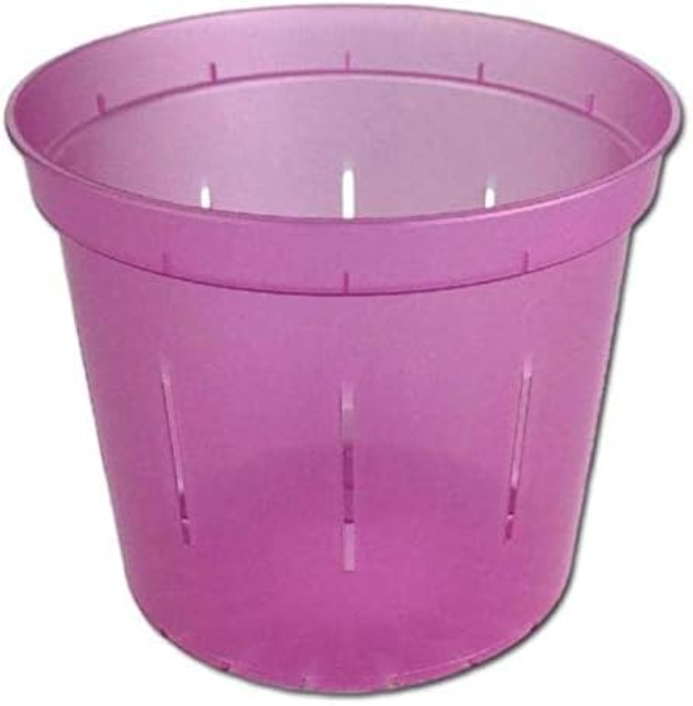 rePotme Vaso per piante da 15,2 cm, per orchidee, piante grasse, piante d'appart