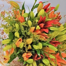 Homeland Florists Asiatic Lily Fresh Flowers Delivery Next Day Prime, Send a Lux