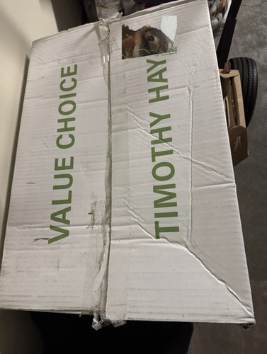 Value Choice Timothy Hay
