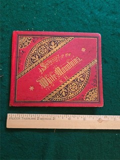 Antique White Mountains NH Fold Out Souvenir View Book