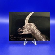 2024 Topps Allen & Ginter #XR-20 Speke's Gazelle Oregon Zoo X-Ray