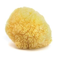 Natural Caribbean Sea Sponge - All Natural Renewable Sea Sponge 6 inch