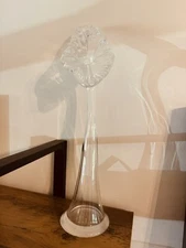 Lily Style Art Glass Vase 18"h Murano, Jack In The Pulpit Clear