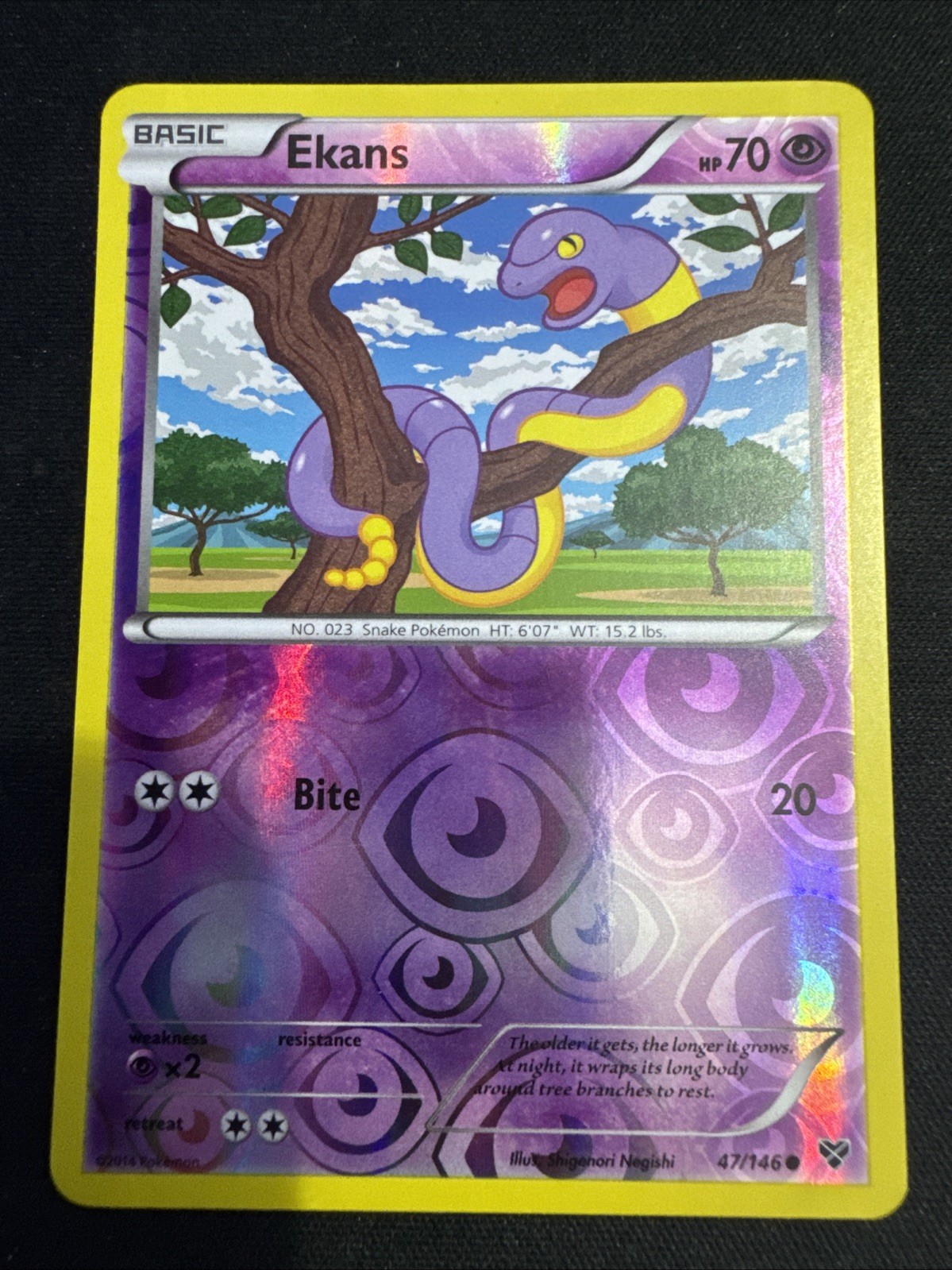Ekans 47/146.  XY Base Set Reverse Holo