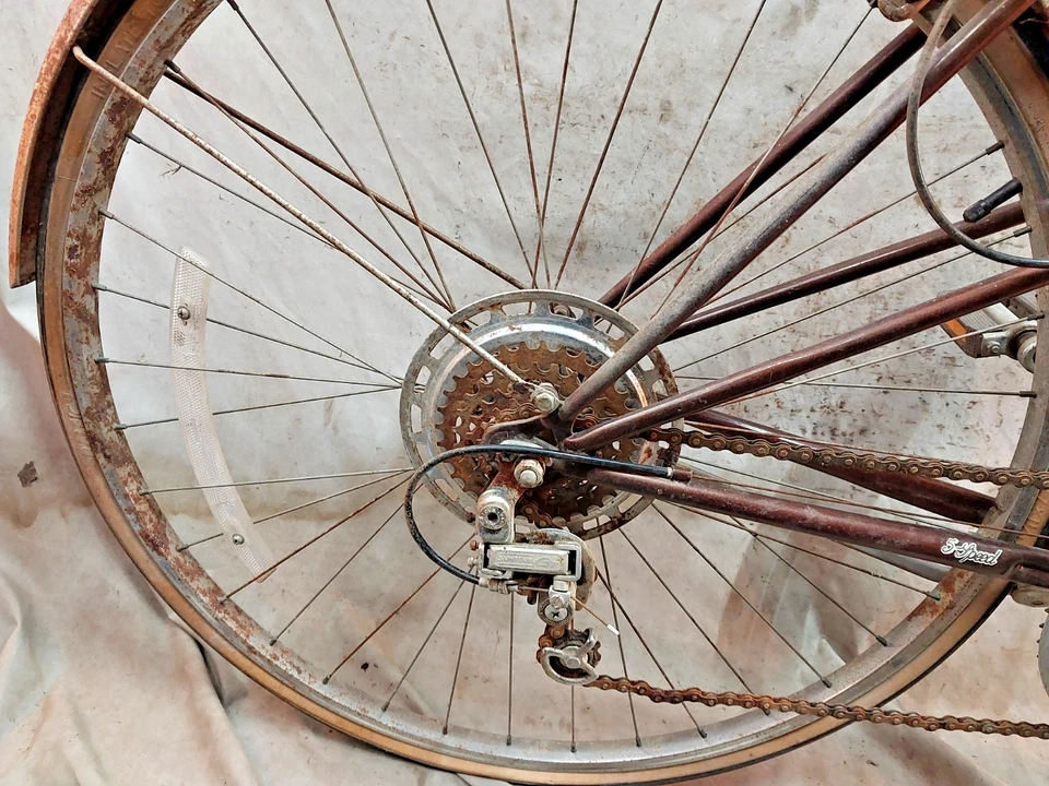 Bicicleta Crucero Raleigh Sprite 5 80' De Colección 50 cm Pequeña 5 Velocidades Acero Café Cercanías Foto 4 de 4