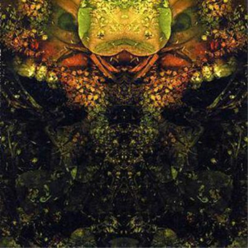 Альбом House of Low Culture Edwards Lament (CD) (ИМПОРТИРОВАН из Великобритании)