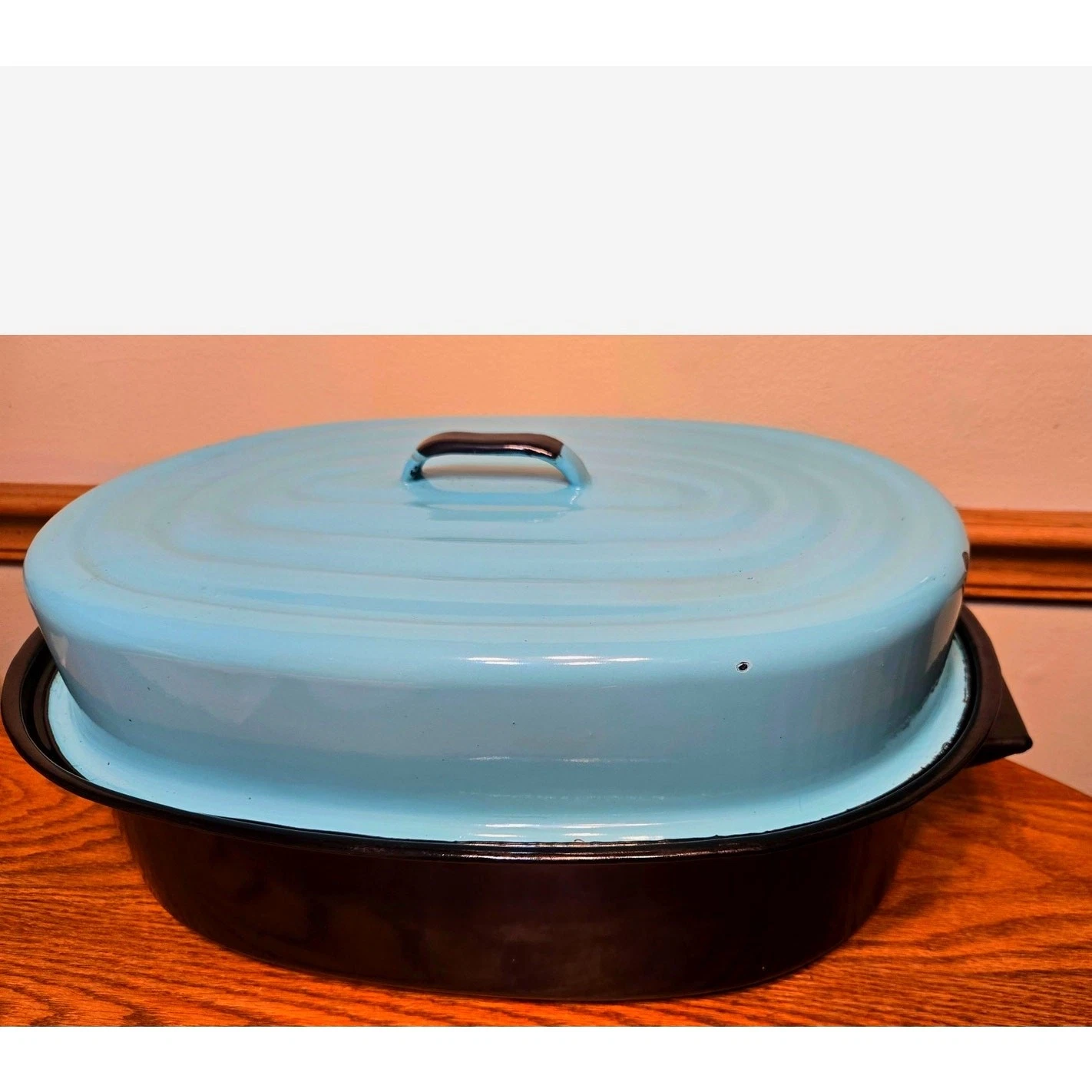 Mid Century Turquoise & Black Enamelware Handled Farmhouse Roasting Pan