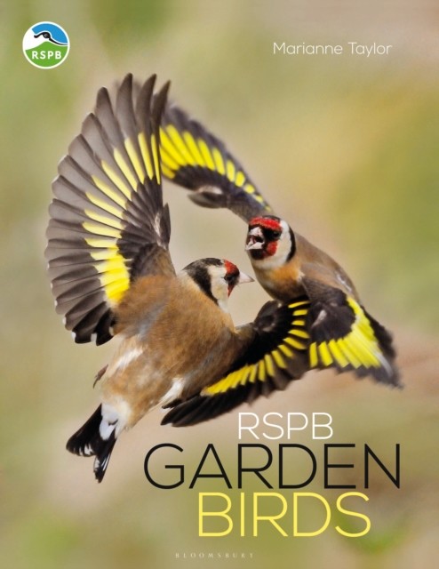 RSPB Garden Birds-Marianne Taylor - Image 5