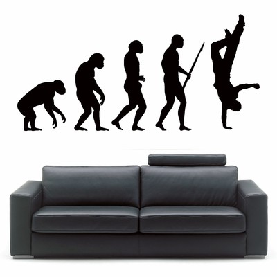 Atheist Symbol Car Vinyl Wall Sticker Darwin Darwinism Evolution of Species