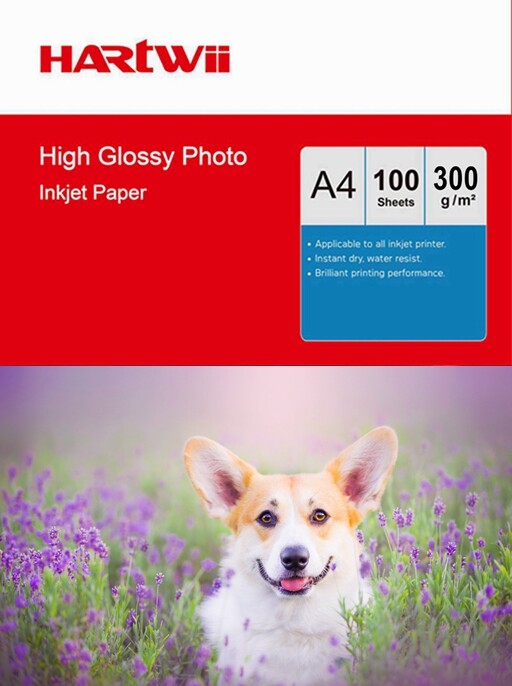 A4 Thick High Glossy Photo Paper 300Gsm Inkjet Paper Printer Hartwii 100Sheets