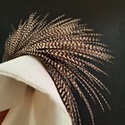 Picture 2 of 7