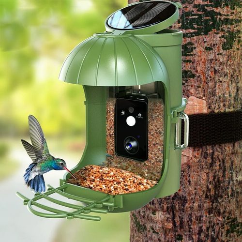 Vogelfutterspender mit Kamera | Vogelhaus Kamera mit Solar | Futterstationen DE - Bild 14 von 19