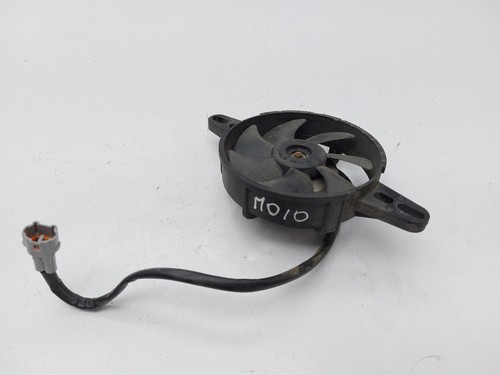 LEXMOTO LXS 125 KÜHLERLÜFTER 2022