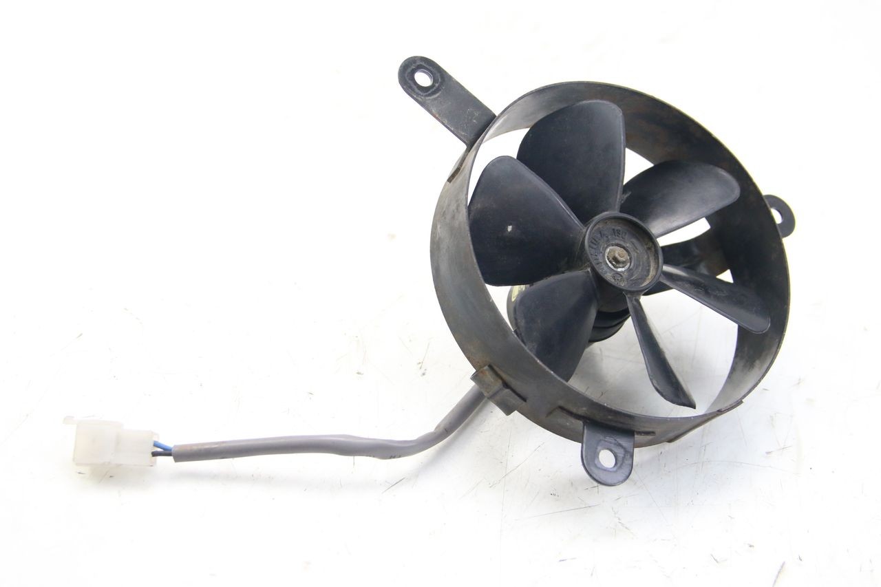 FAN - DAELIM S3 125 (2010 - 2017)
