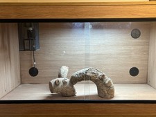 Vivarium 4x2x2 ft Heat Lamp, Habistat Thermostat, Light and Accessories