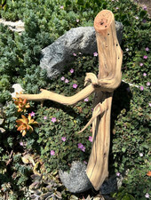 Large Driftwood Manzanita Aquascape Aquarium Terrarium Reptile Bonsai 21" 11" 9"