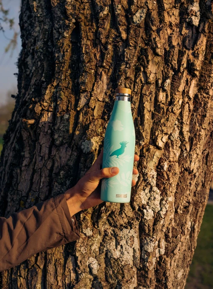 Garrafa de água isolada SIGG 17 oz Meridian Sumatra pássaros à prova de vazamentos extra fina - Imagem 4 de 4