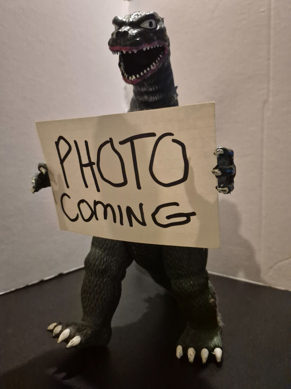 FANTASTIC CREEDENCE CLEARWATER REVIVAL - SIGNED  ' RECORD  ALBUM  LP        ekim