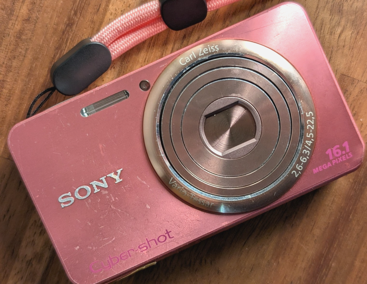 Japanese Only Sony Cyber-Shot DSC-W570 16.1MP Digital Camera japan