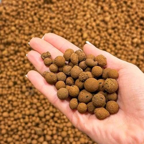 bhomescent Clay Pebbles for Hydroponics, Plant Pots &  Assorted styles