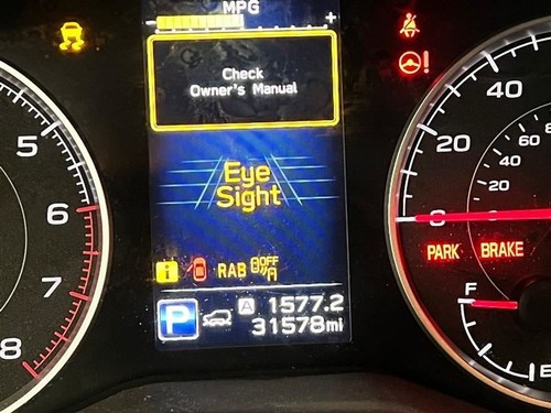 Speedometer KPH Touring Fits 19 ASCENT 2315624 - 第 9/16 張圖片