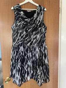 peacocks shift dresses