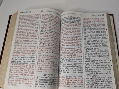 Bibel KJV Riesendruck Referenzen Konkordanz Roter Brief Ausgabe Nelson - Bild 14 von 20