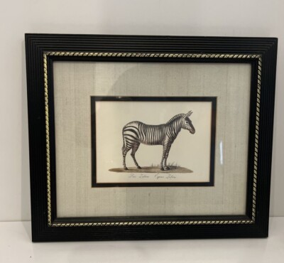 絵画 Zebrappy 絵画 Zebrappy 絵画 Zebrappy Z Gallerie Zebra Printed Canvas