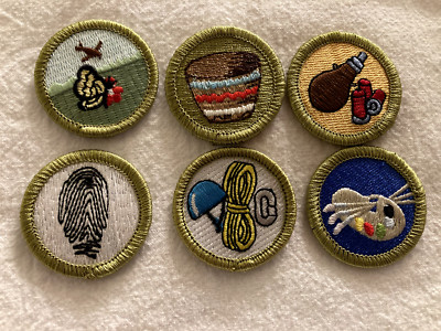 (134) Boy Scouts -  merit badge lot (6)