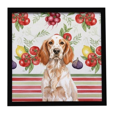 Orange Belton English Setter Vegetables Framed Metal Print WDK8230MFP88